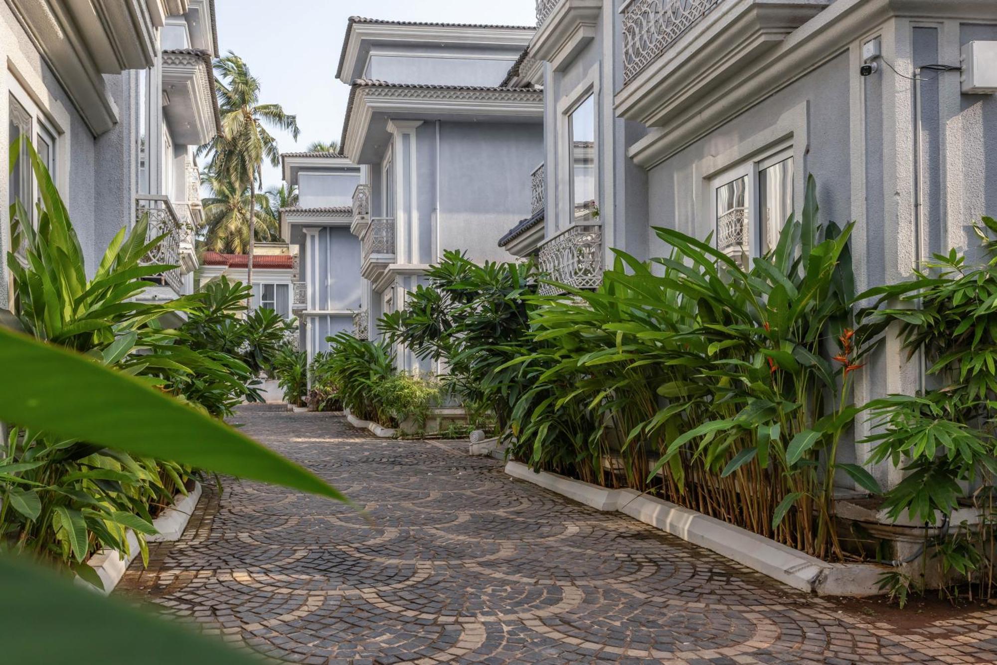 The Hornbill Villa - 3Bhk With Pvt Pool In Saligao Екстериор снимка